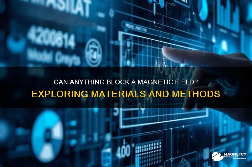 can anything block a magnetic field