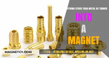 Beyond Metal: Exploring Surprising Materials That Can Be Magnetized
