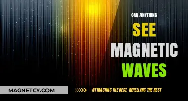 Can Magnetic Waves Be Seen? Unveiling the Invisible Forces