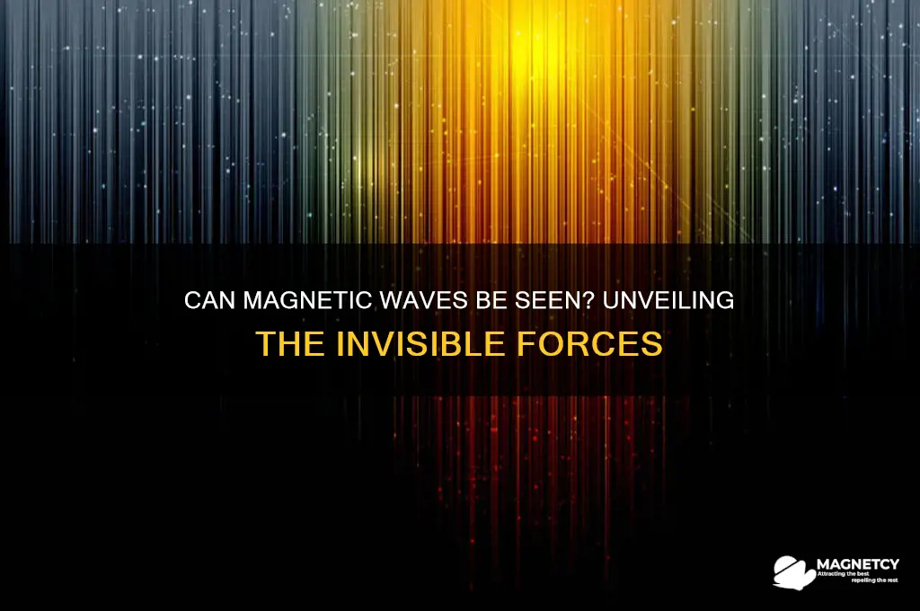 can anything see magnetic waves