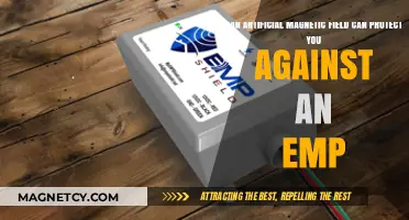 Artificial Magnetic Fields: EMP Protection or Myth?