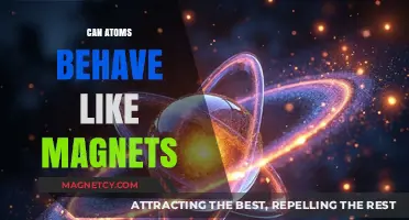 Can Atoms Act as Tiny Magnets? Exploring Magnetic Behavior in Atoms