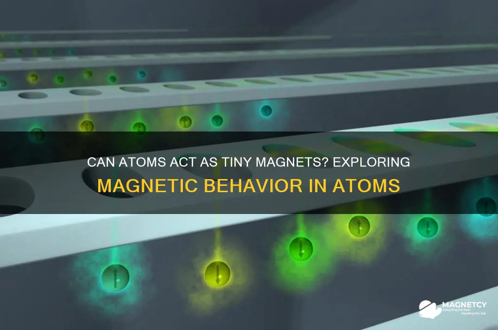 can atoms behave like magnets