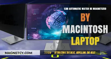 Can Your Automatic Watch Be Magnetized by a Macintosh Laptop?
