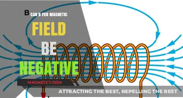 Can Magnetic Field B Be Negative? Exploring the Physics Behind It