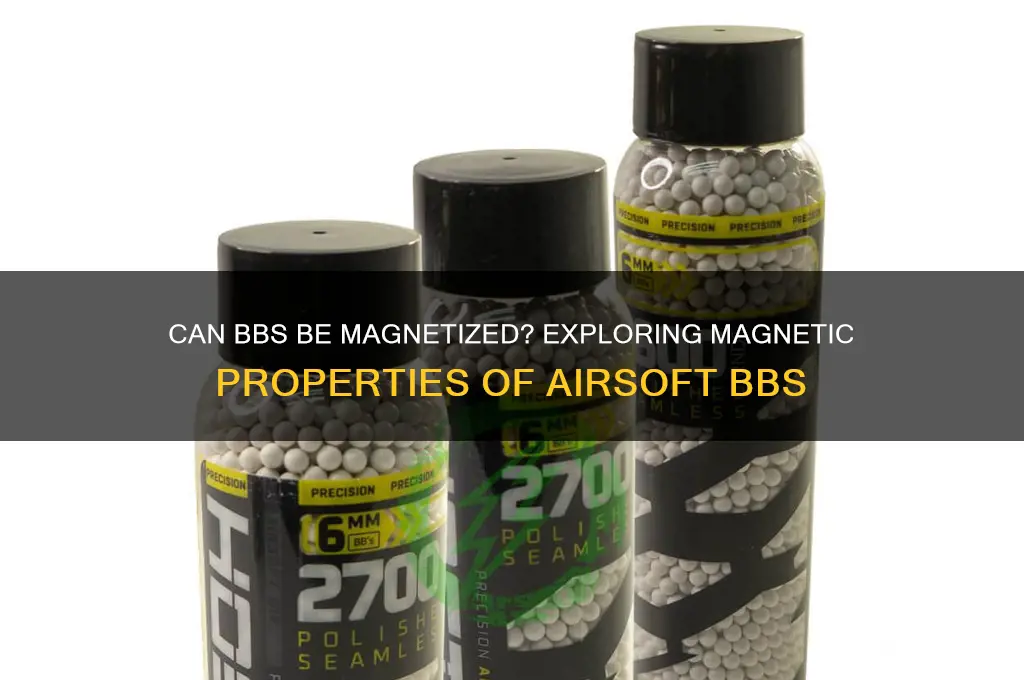 can bbs be magnetized