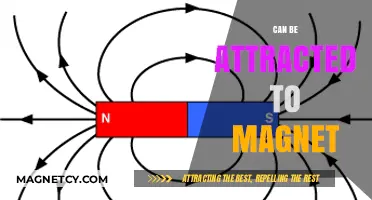 Magnetic Attraction: What Materials Can Be Drawn to a Magnet?