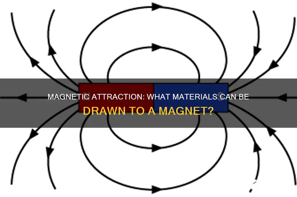 can be attracted to magnet