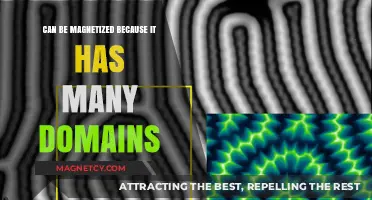 Understanding Magnetic Materials: How Domain Structures Enable Magnetization