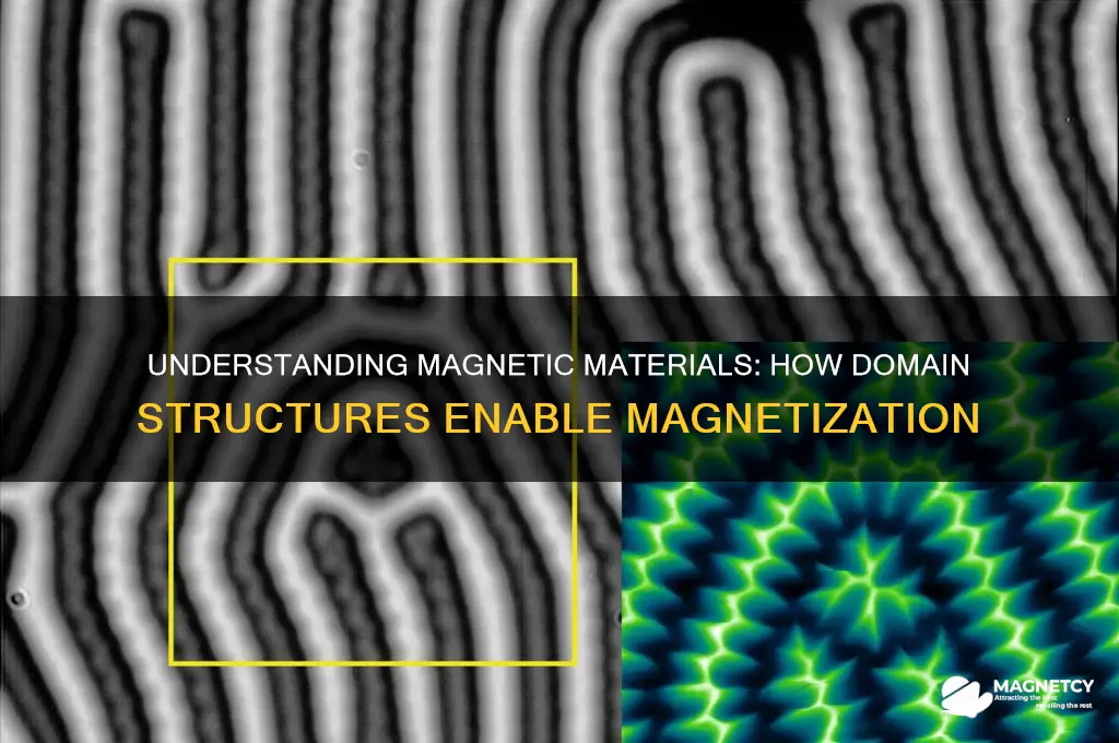 can be magnetized because it has many domains