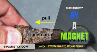 Magnetic Materials: What Can Be Picked Up by a Magnet?