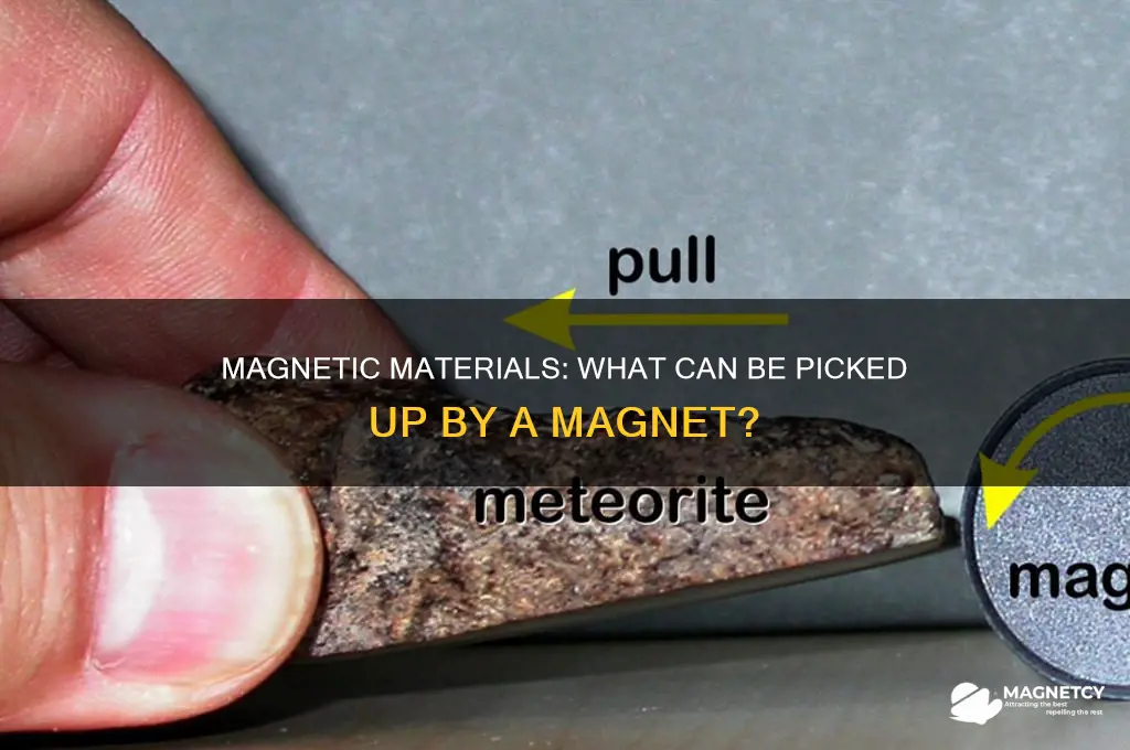 can be picked up by a magnet