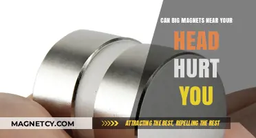 Can Strong Magnets Near Your Head Cause Harm? Facts Revealed