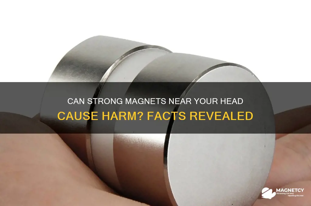 can big magnets near your head hurt you