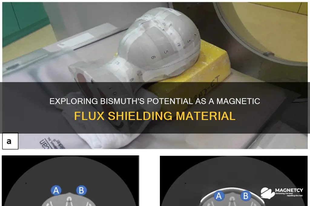 can bismuth shield magnetic flux
