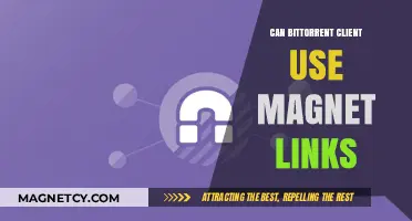 Can BitTorrent Clients Use Magnet Links? A Comprehensive Guide