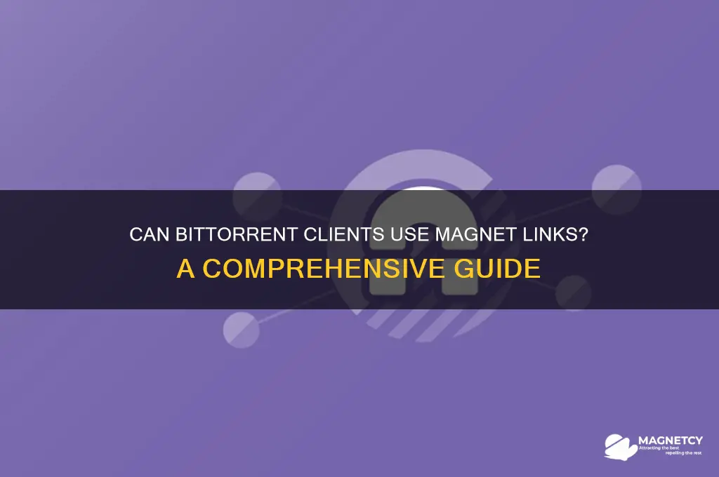 can bittorrent client use magnet links