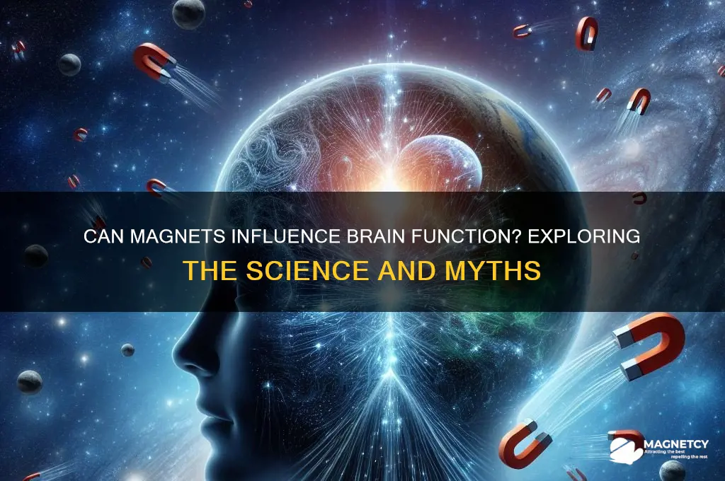 can brain have magnets