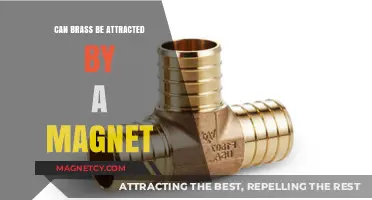 Is Brass Magnetic? Exploring Magnetism and Brass Properties