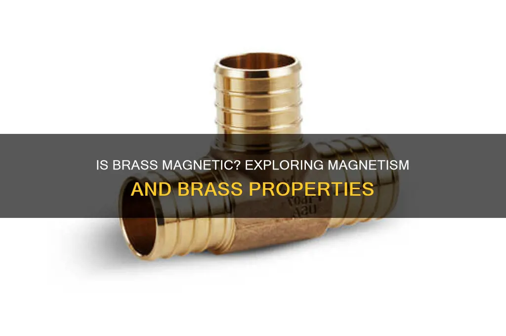 can brass be attracted by a magnet