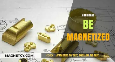 Can Brass Be Magnetized? Exploring Its Magnetic Properties and Limitations