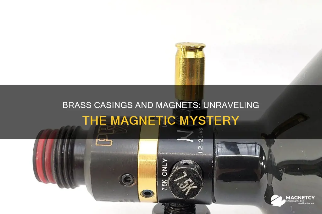 can brass casings be picked up with a magnet