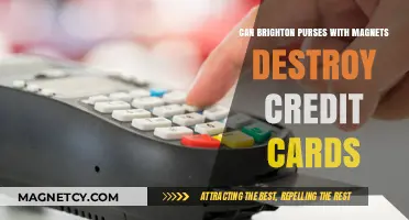 Brighton Purses with Magnets: Do They Damage Credit Cards?