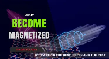 Exploring C60's Magnetic Potential: Can Fullerene Molecules Be Magnetized?