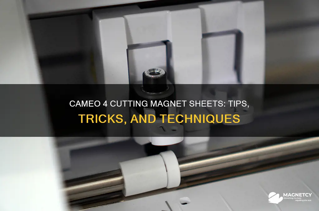 can cameo 4 cut magnet sheets