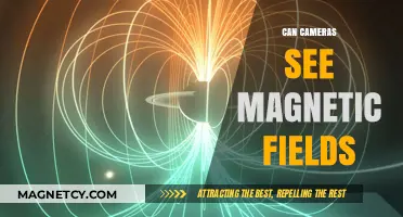 Can Cameras Detect Magnetic Fields? Exploring Visualizing the Invisible