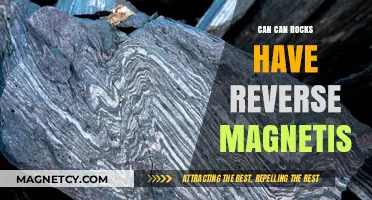 Exploring Reverse Magnetism in Can Can Rocks: Fact or Fiction?