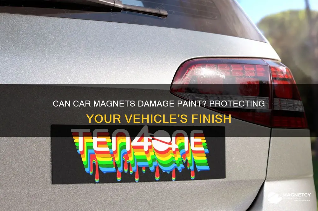 can car magnets damage paint
