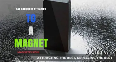 Is Carbon Magnetic? Exploring Its Attraction to Magnets