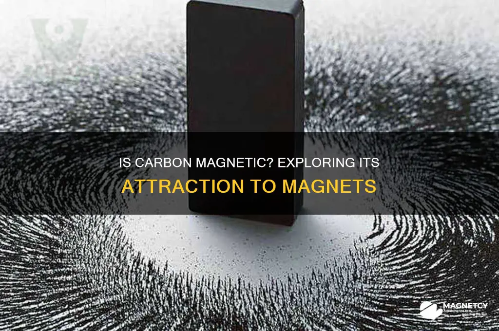 can carbon be attracted to a magnet