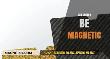Exploring Carbon's Magnetic Potential: Unlocking New Material Possibilities