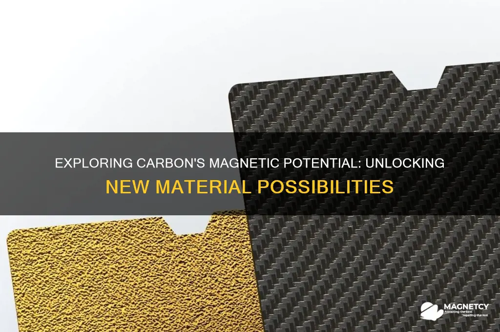 can carbon be magnetic