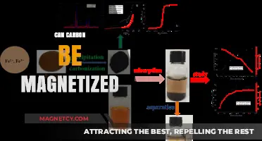 Can Carbon Be Magnetized? Exploring the Magnetic Potential of Carbon Materials