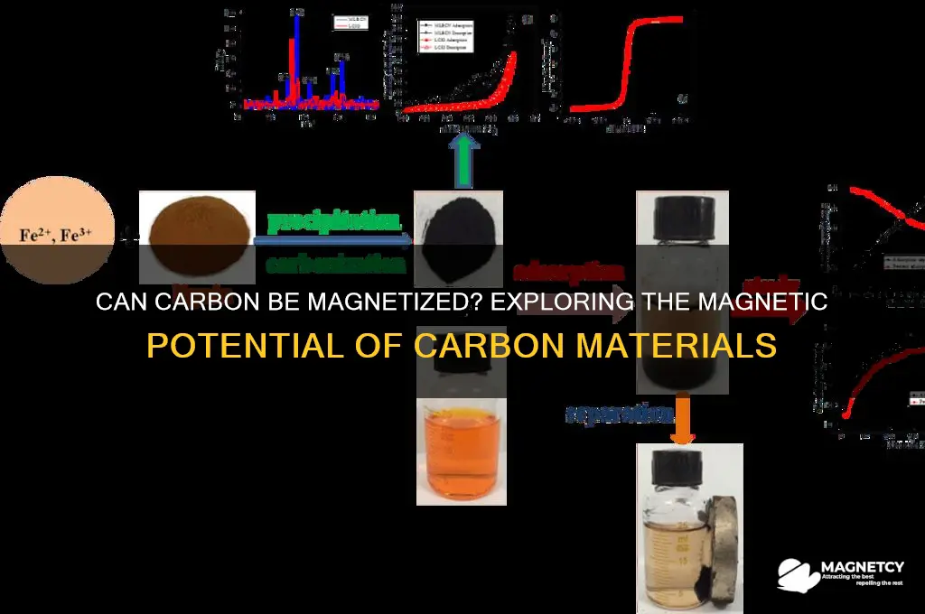 can carbon be magnetized