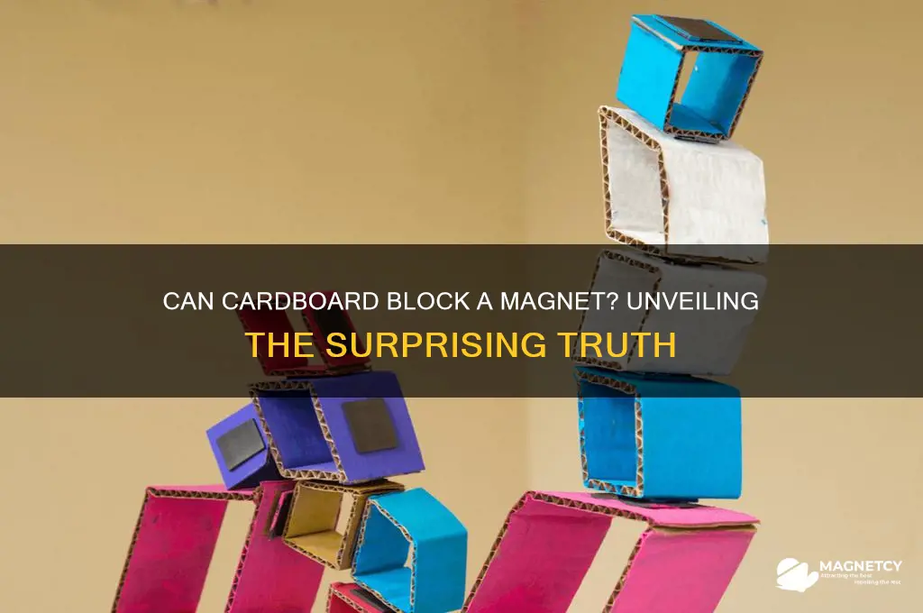 can cardboard block a magnet