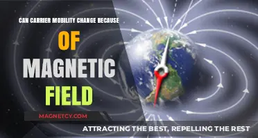 Magnetic Fields' Impact on Carrier Mobility: Exploring Semiconductor Behavior