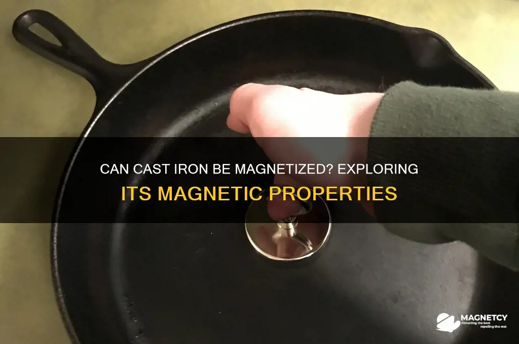 can cast iron be magnetized