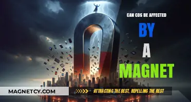 Can Magnets Damage CDs? Exploring Magnetic Effects on Discs