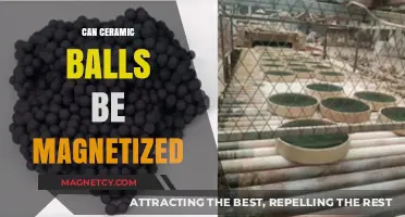 Can Ceramic Balls Be Magnetized? Exploring Magnetic Properties of Ceramics