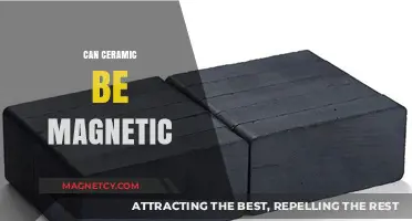 Can Ceramic Be Magnetic? Exploring Material Properties and Possibilities