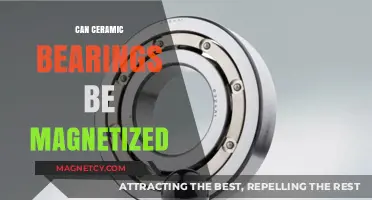 Can Ceramic Bearings Be Magnetized? Exploring Material Properties and Myths