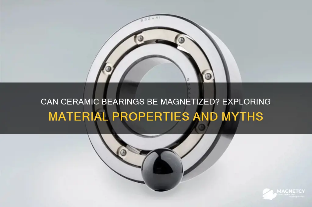 can ceramic bearings be magnetized
