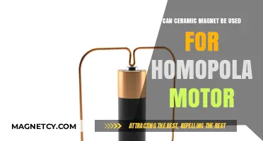 Ceramic Magnets in Homopolar Motors: Feasibility and Practical Applications