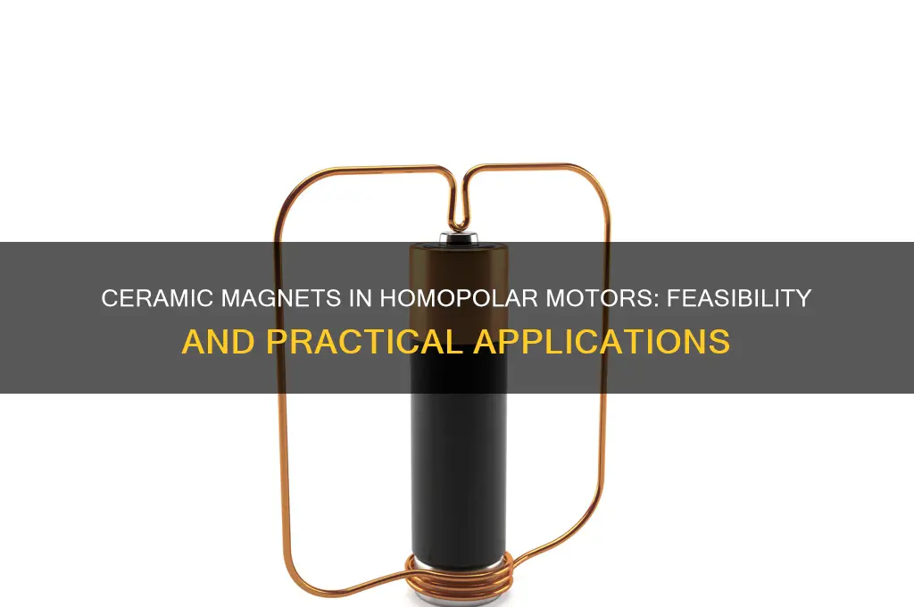 can ceramic magnet be used for homopolar motor