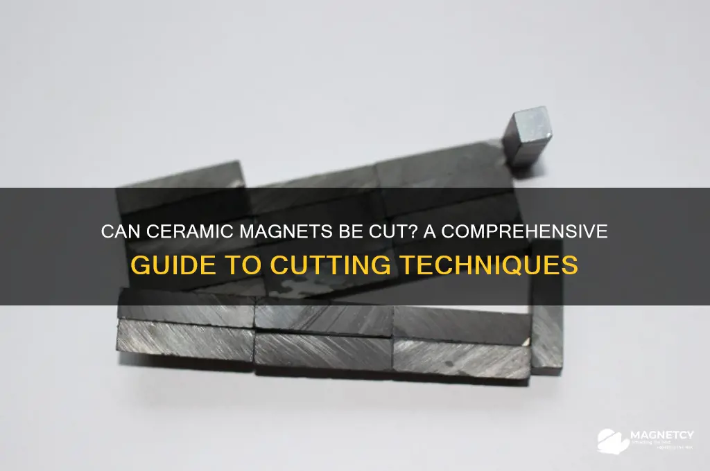 can ceramic magnets be cut