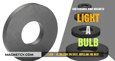 Can Ceramic Ring Magnets Power a Light Bulb? Exploring the Science